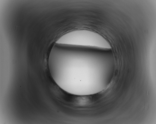 X0000099980183200805231031