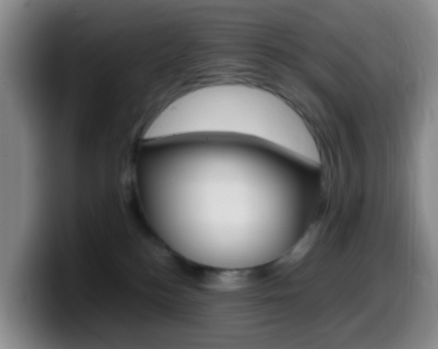 X0000099980184200805231031