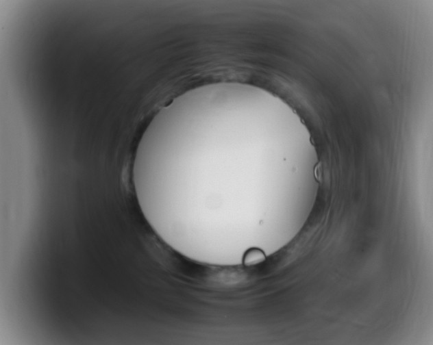 X0000099980185200805231031