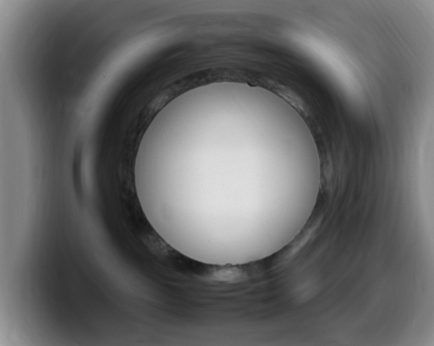 X0000099980189200805231031