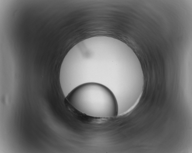 X0000099980190200805231031