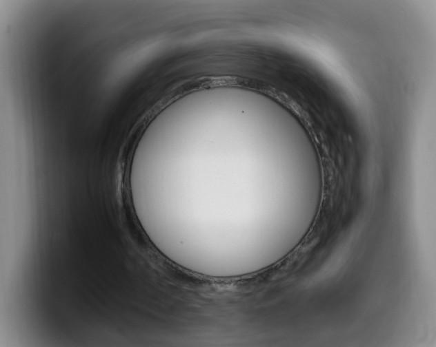 X0000099980194200805231030