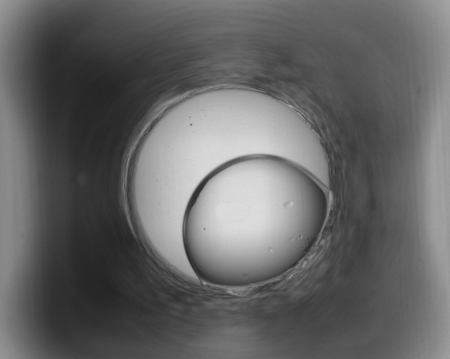 X0000099980195200805231030