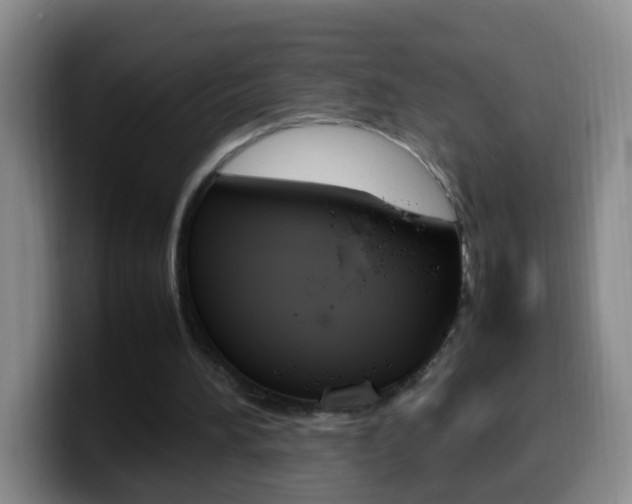 X0000099980196200805231030