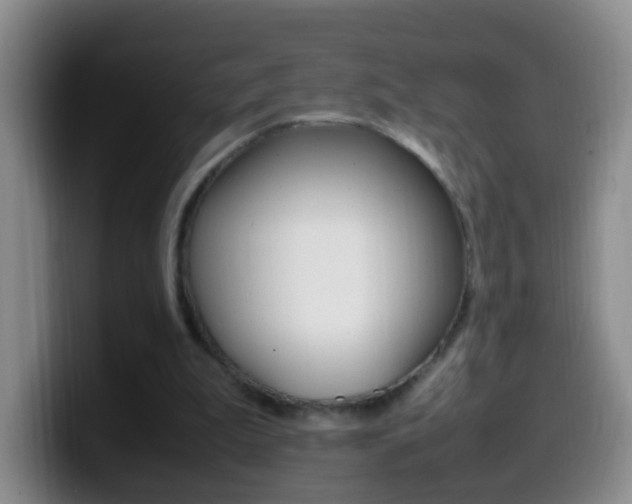 X0000099980199200805231030