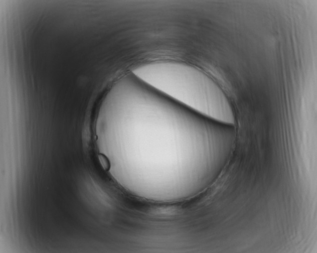 X0000099980202200805231030