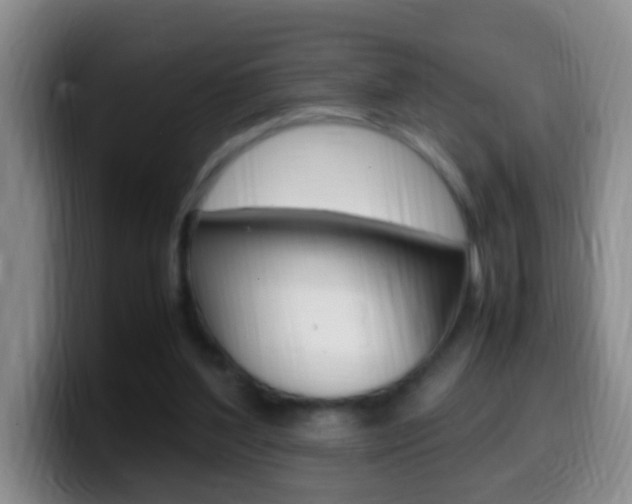 X0000099980204200805231030