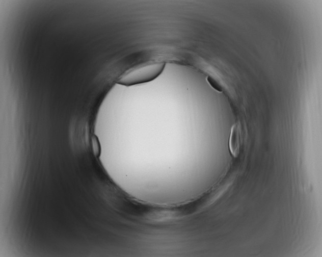 X0000099980205200805231030