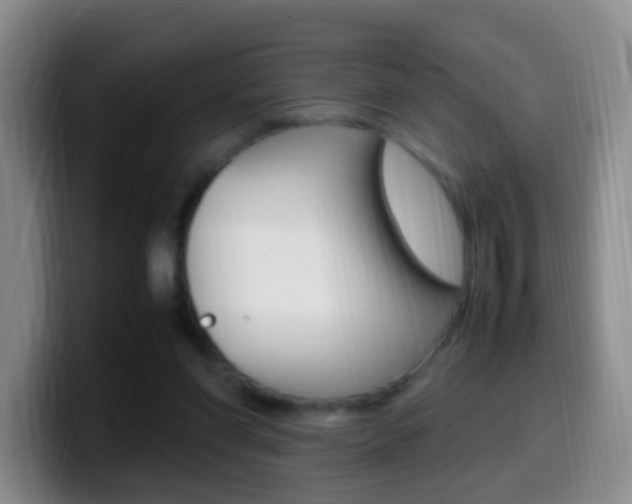 X0000099980206200805231030