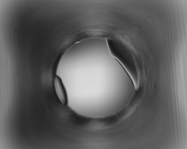 X0000099980207200805231030