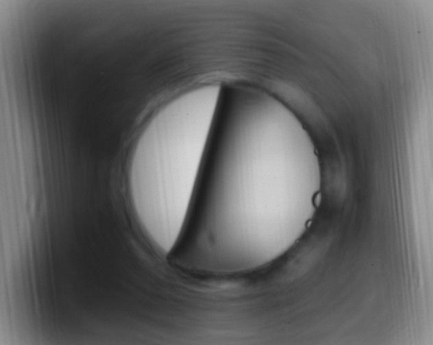X0000099980208200805231030