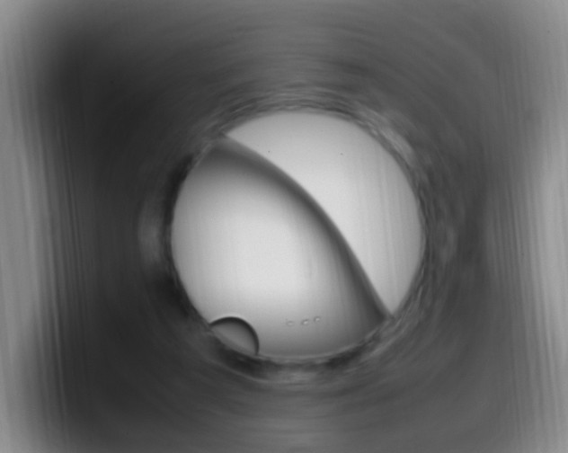 X0000099980209200805231030