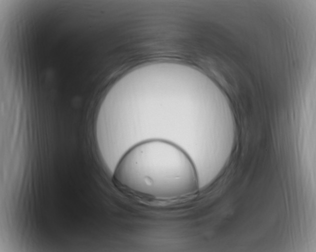 X0000099980211200805231030