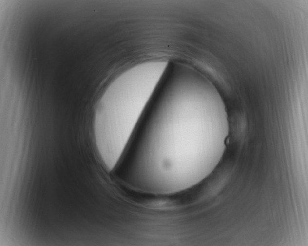 X0000099980212200805231030