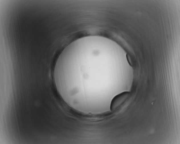 X0000099980213200805231030