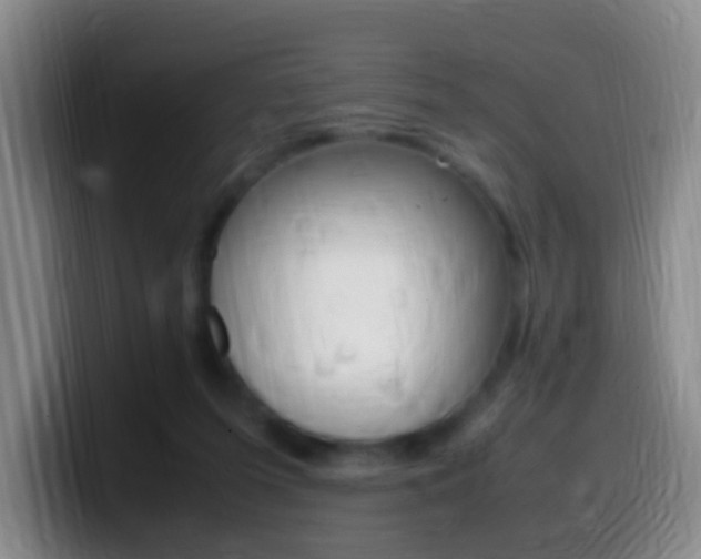 X0000099980215200805231030