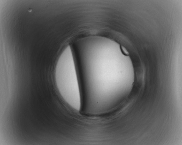 X0000099980216200805231030