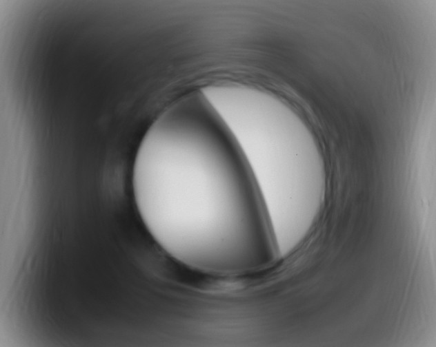 X0000099980217200805231030