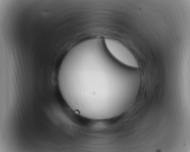 X0000099980218200805231030