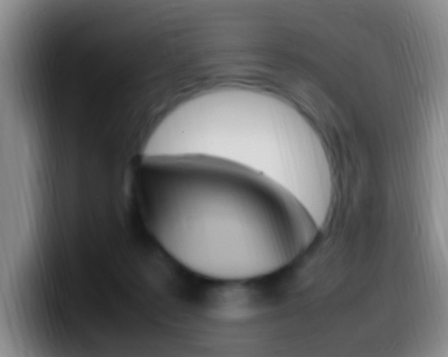 X0000099980219200805231030
