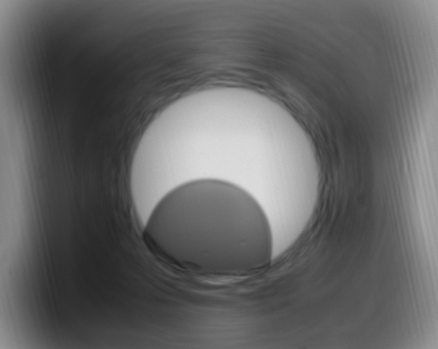 X0000099980223200805231030