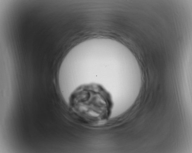 X0000099980225200805231030