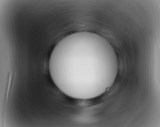 X0000099980226200805231030