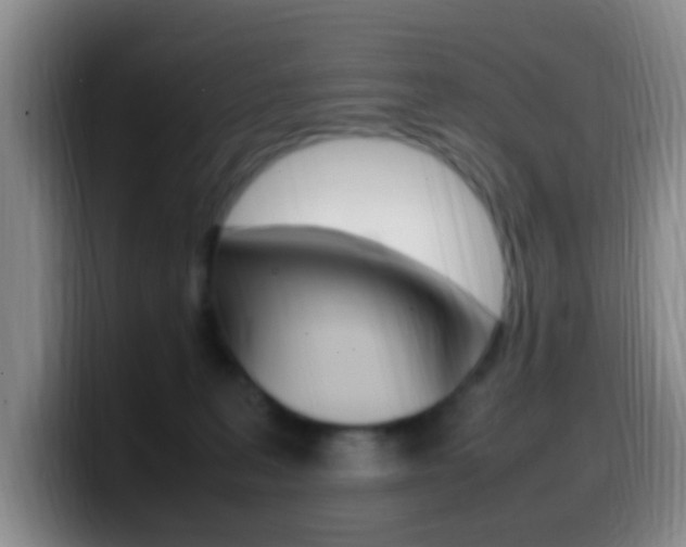 X0000099980227200805231030