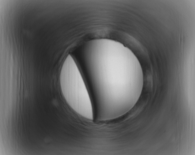 X0000099980228200805231030