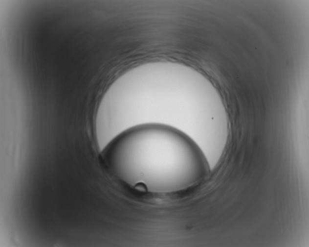 X0000099980229200805231030