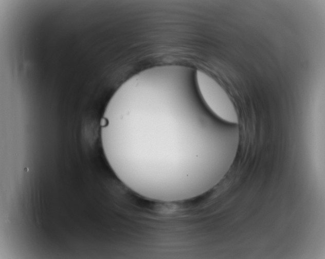 X0000099980230200805231030
