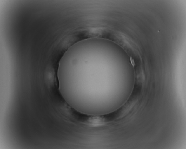 X0000099980231200805231030