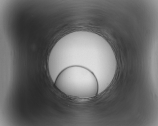 X0000099980233200805231030
