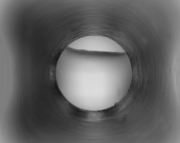 X0000099980234200805231030
