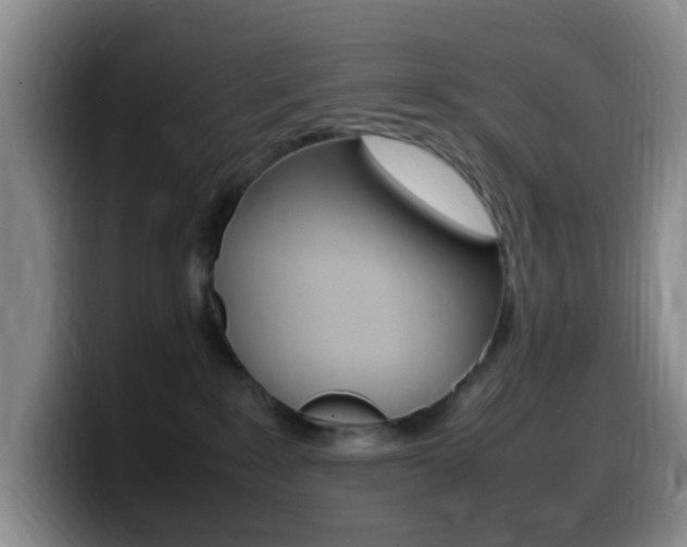 X0000099980235200805231030