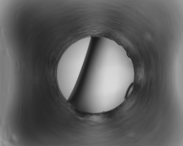 X0000099980236200805231030