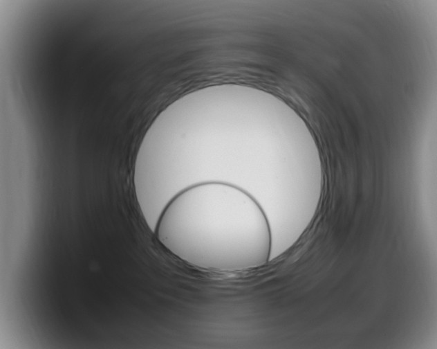 X0000099980237200805231030