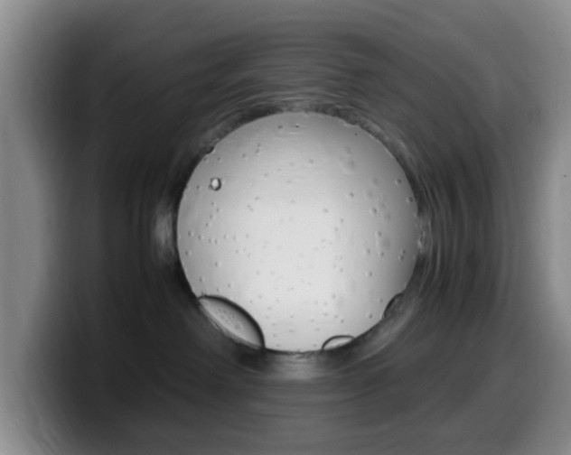 X0000099980238200805231030