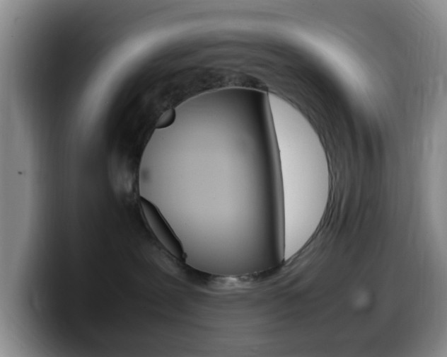 X0000099980239200805231030
