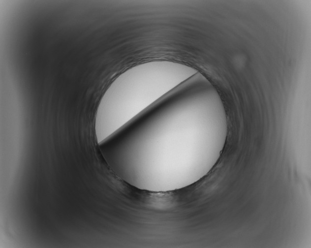 X0000099980240200805231030