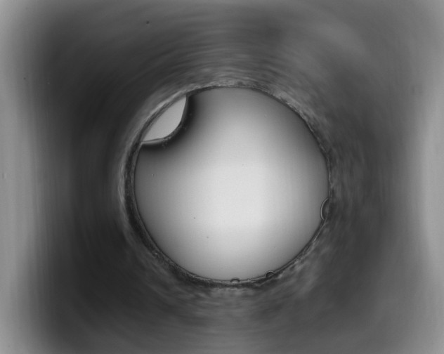 X0000099980242200805231029