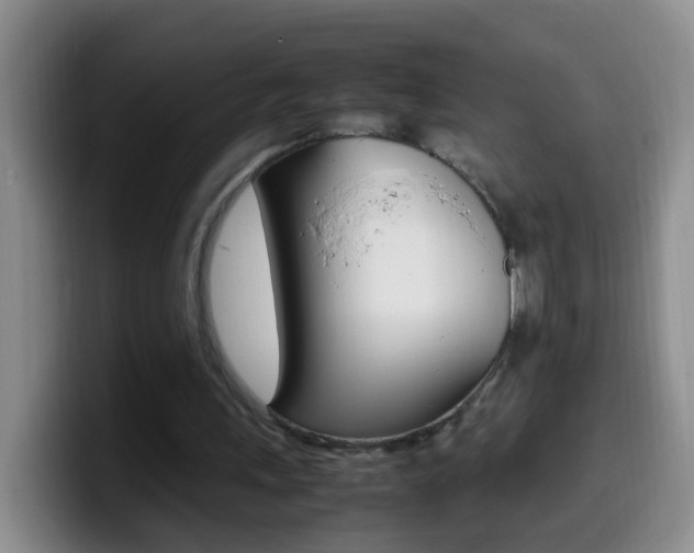 X0000099980243200805231029