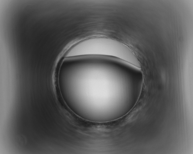 X0000099980244200805231029