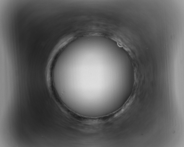 X0000099980245200805231029
