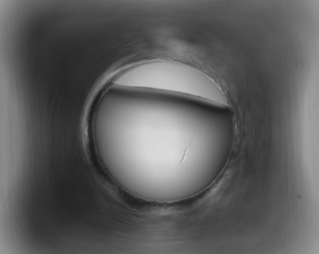 X0000099980246200805231029