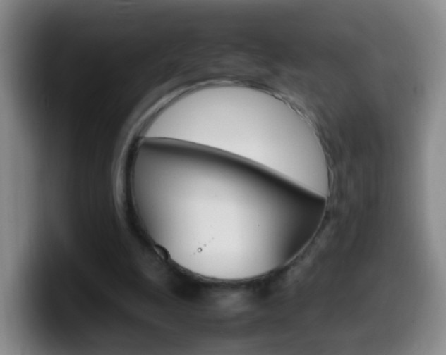 X0000099980247200805231029