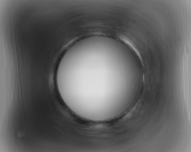 X0000099980249200805231029