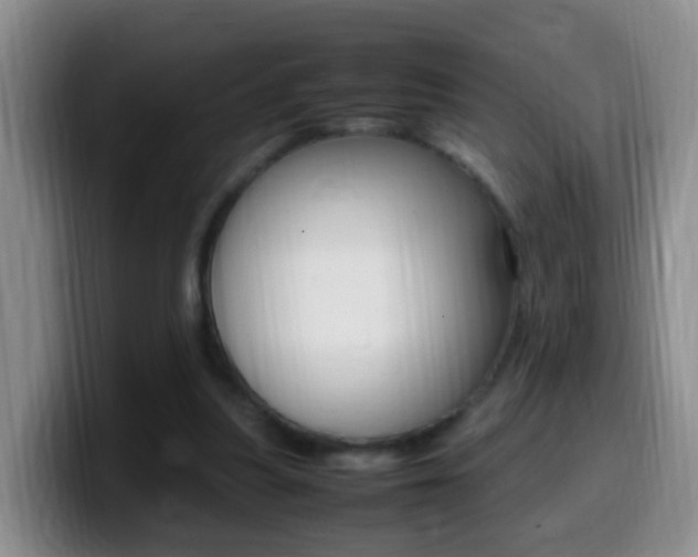 X0000099980251200805231029