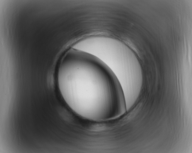 X0000099980252200805231029