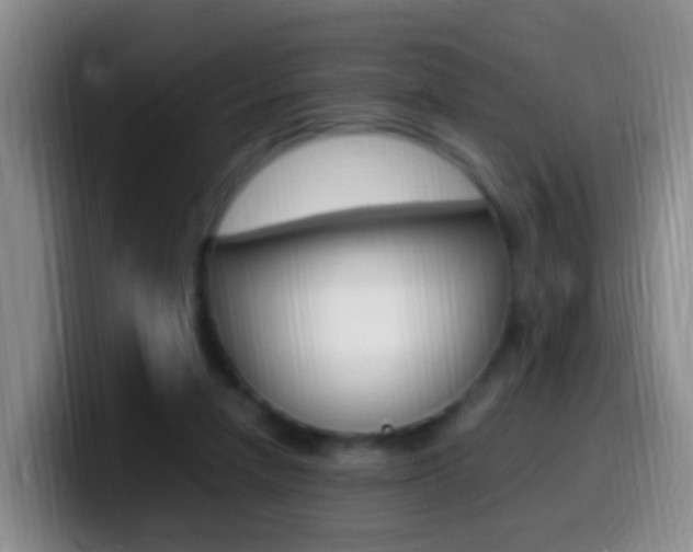 X0000099980258200805231029